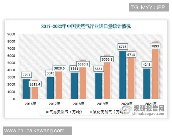 数据分析在液化天然气行业中的个人能力提升与表现研究