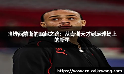 彩客网