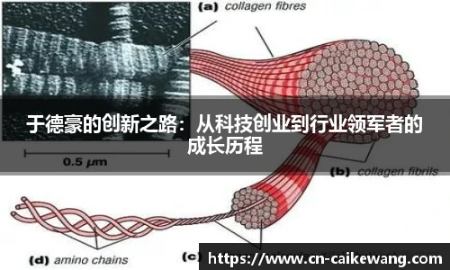 彩客网网址