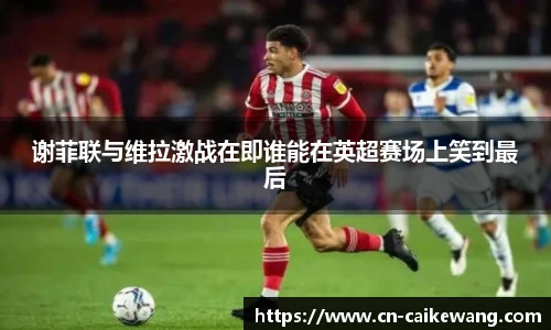 彩客网