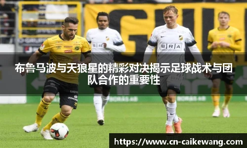 彩客网首页